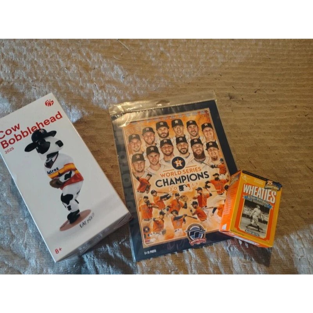 Astros lot